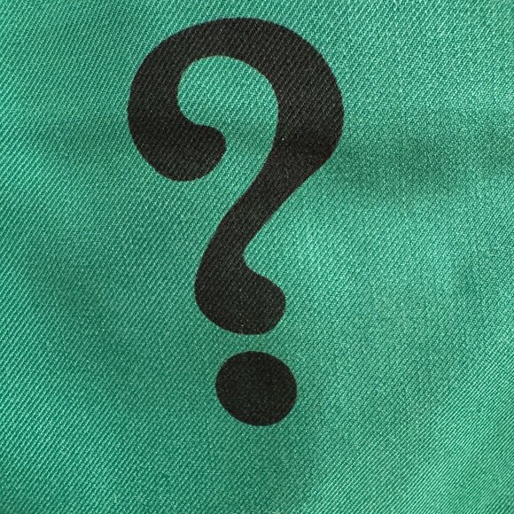 Authentic Fun Suits Riddler Pants - Picture 5 of 8